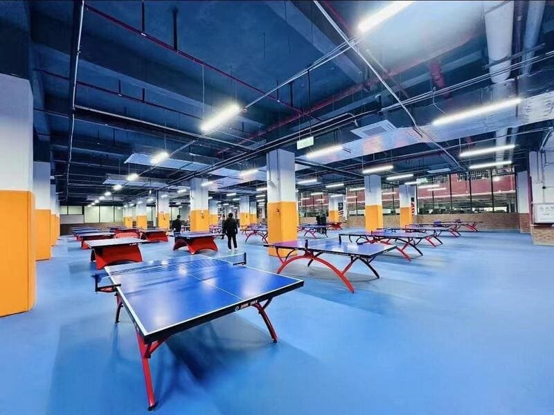 ittf approved table tennis floor color